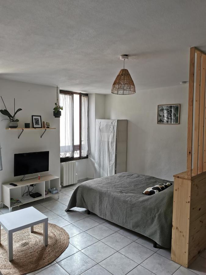 Studio Cosy Plein Coeur De Ville ギャップ エクステリア 写真